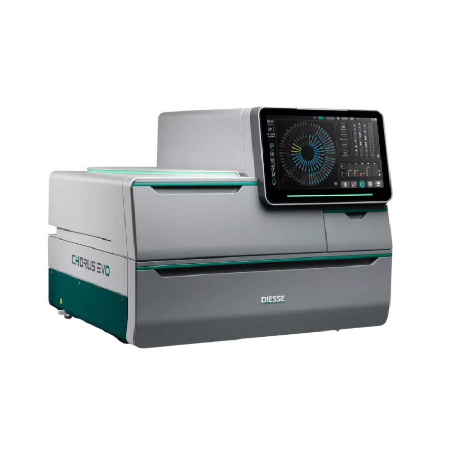 Chorus-ANNAR-DX-IMAGEN2