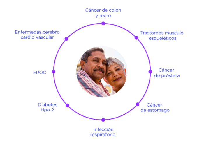 portafolio-adulto-mayor-annar-02